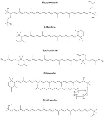 Comparison of Miniaturized Raman Spectrometers for Discrimination of Carotenoids of Halophilic Microorganisms